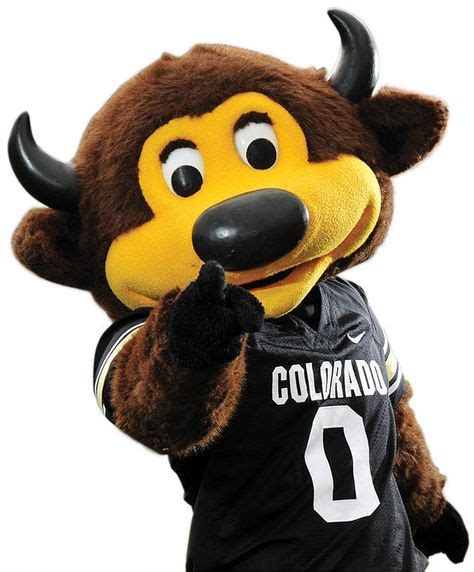 colorado university buffalo mascot